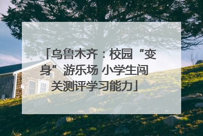 乌鲁木齐：校园“变身”游乐场 小学生闯关测评学习能力