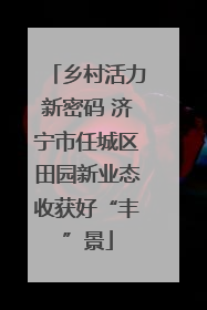 乡村活力新密码 济宁市任城区田园新业态收获好“丰”景