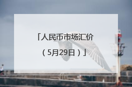 人民币市场汇价（5月29日）