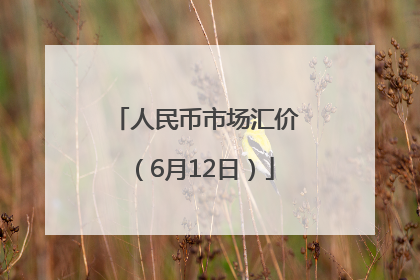 人民币市场汇价（6月12日）