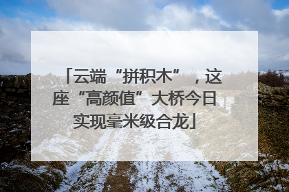 云端“拼积木”，这座“高颜值”大桥今日实现毫米级合龙