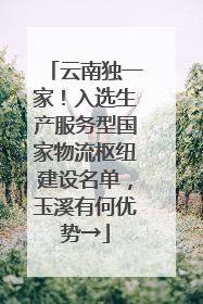 云南独一家！入选生产服务型国家物流枢纽建设名单，玉溪有何优势→