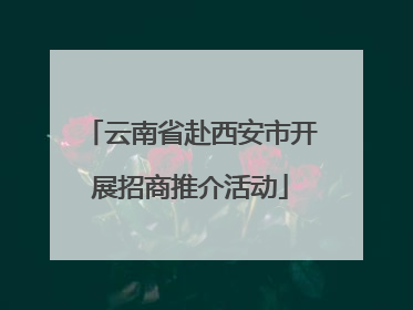 云南省赴西安市开展招商推介活动