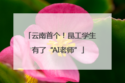 云南首个！昆工学生有了“AI老师”