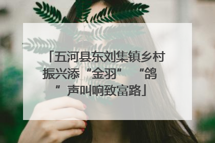 五河县东刘集镇乡村振兴添“金羽” “鸽”声叫响致富路