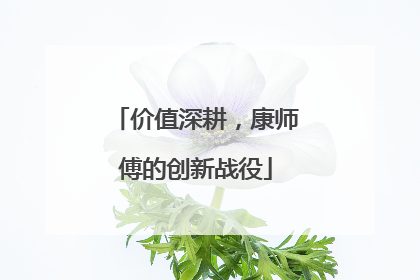 价值深耕，康师傅的创新战役