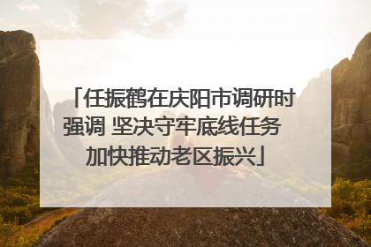 任振鹤在庆阳市调研时强调 坚决守牢底线任务 加快推动老区振兴