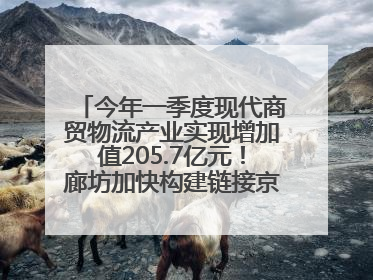 今年一季度现代商贸物流产业实现增加值205.7亿元！廊坊加快构建链接京津冀面向全世界的物流通道