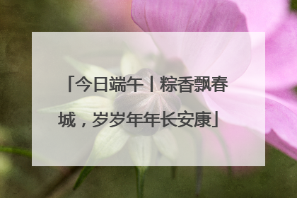 今日端午丨粽香飘春城，岁岁年年长安康