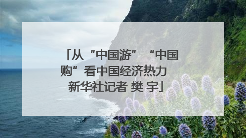 从“中国游”“中国购”看中国经济热力 新华社记者 樊 宇