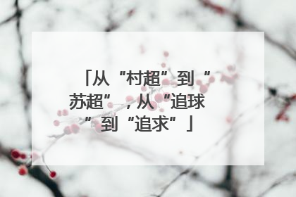 从“村超”到“苏超”，从“追球”到“追求”