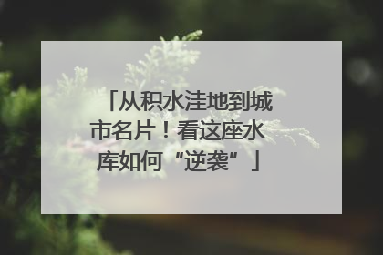 从积水洼地到城市名片！看这座水库如何“逆袭”