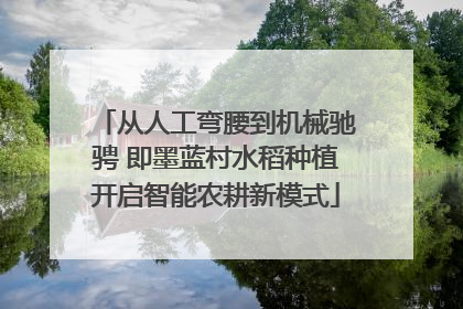 从人工弯腰到机械驰骋 即墨蓝村水稻种植开启智能农耕新模式