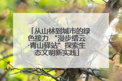 从山林到城市的绿色接力 “漫步缙云·青山驿站”探索生态文明新实践