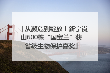 从濒危到绽放！新宁崀山600株“国宝兰”获省级生物保护嘉奖