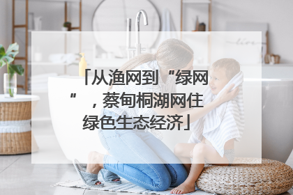 从渔网到“绿网”，蔡甸桐湖网住绿色生态经济