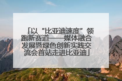以“比亚迪速度”领跑新赛道——媒体融合发展暨绿色创新实践交流会首站走进比亚迪