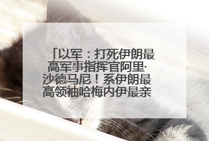 以军：打死伊朗最高军事指挥官阿里·沙德马尼！系伊朗最高领袖哈梅内伊最亲密的人之一