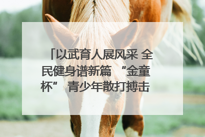以武育人展风采 全民健身谱新篇 “金童杯” 青少年散打搏击邀请赛圆满落幕