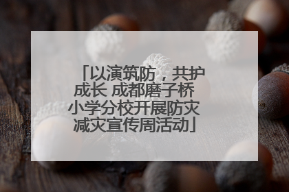 以演筑防，共护成长 成都磨子桥小学分校开展防灾减灾宣传周活动