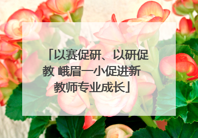 以赛促研、以研促教 峨眉一小促进新教师专业成长