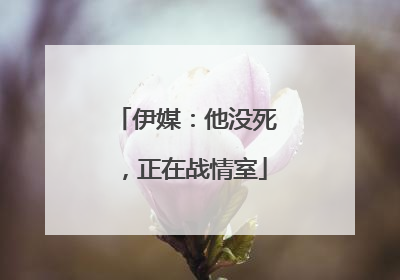 伊媒：他没死，正在战情室
