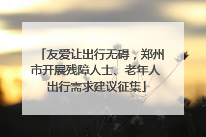 友爱让出行无碍，郑州市开展残障人士、老年人出行需求建议征集