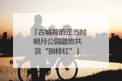 古城荷韵正当时 明月公园邀您共赏“别样红”