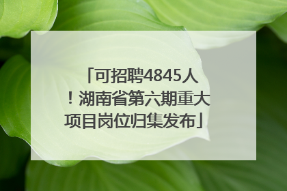 可招聘4845人！湖南省第六期重大项目岗位归集发布