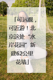 可远观，可近游！北京这处“水岸花园”新建62公里花墙