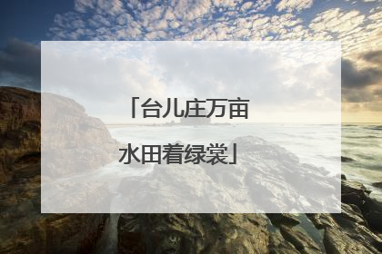 台儿庄万亩水田着绿裳