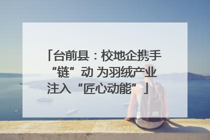 台前县：校地企携手“链”动 为羽绒产业注入“匠心动能”
