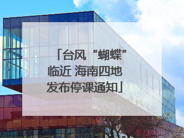 台风“蝴蝶”临近 海南四地发布停课通知