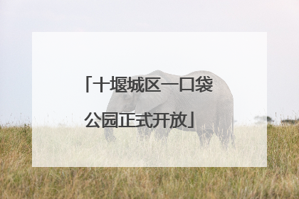 十堰城区一口袋公园正式开放