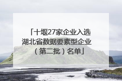 十堰27家企业入选湖北省数据要素型企业（第二批）名单