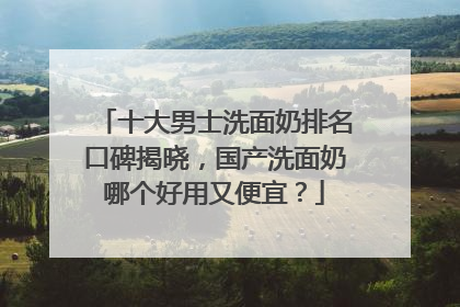 十大男士洗面奶排名口碑揭晓，国产洗面奶哪个好用又便宜？