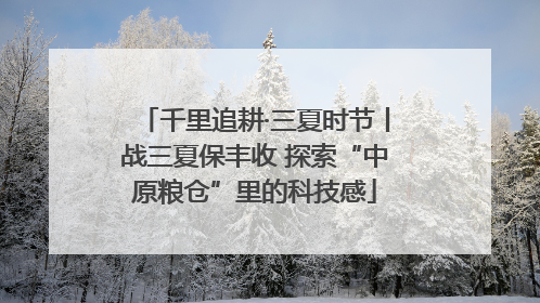 千里追耕·三夏时节丨战三夏保丰收 探索“中原粮仓”里的科技感