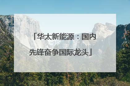 华太新能源：国内先锋奋争国际龙头