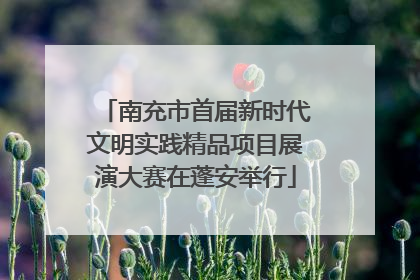 南充市首届新时代文明实践精品项目展演大赛在蓬安举行
