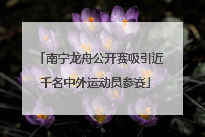 南宁龙舟公开赛吸引近千名中外运动员参赛