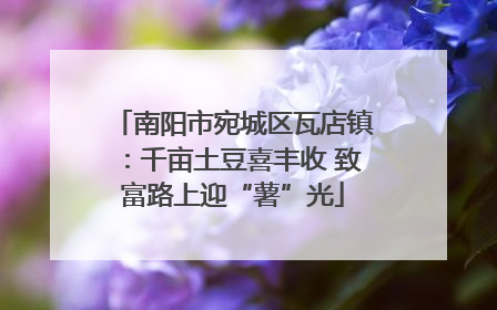 南阳市宛城区瓦店镇：千亩土豆喜丰收 致富路上迎“薯”光
