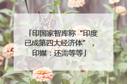 印国家智库称“印度已成第四大经济体”，印媒：还需等等