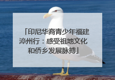 印尼华裔青少年福建漳州行：感受祖地文化和侨乡发展脉搏