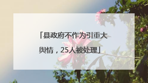 县政府不作为引重大舆情，25人被处理
