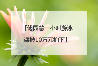 傅园慧一小时游泳课被10万元拍下