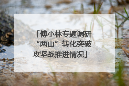 傅小林专题调研“两山”转化突破攻坚战推进情况