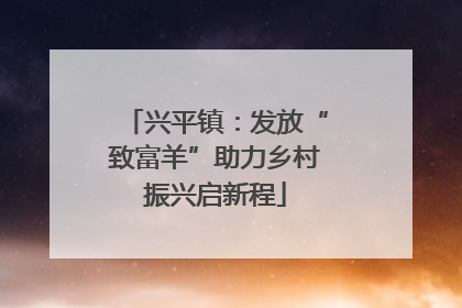 兴平镇：发放“致富羊”助力乡村振兴启新程
