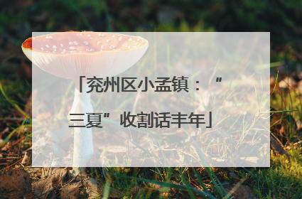 兖州区小孟镇：“三夏”收割话丰年