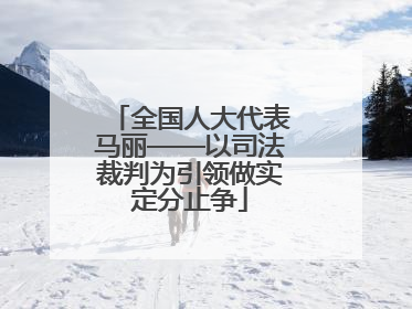全国人大代表马丽——以司法裁判为引领做实定分止争