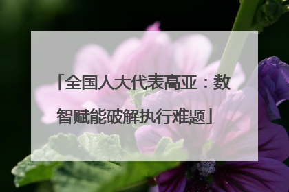 全国人大代表高亚：数智赋能破解执行难题